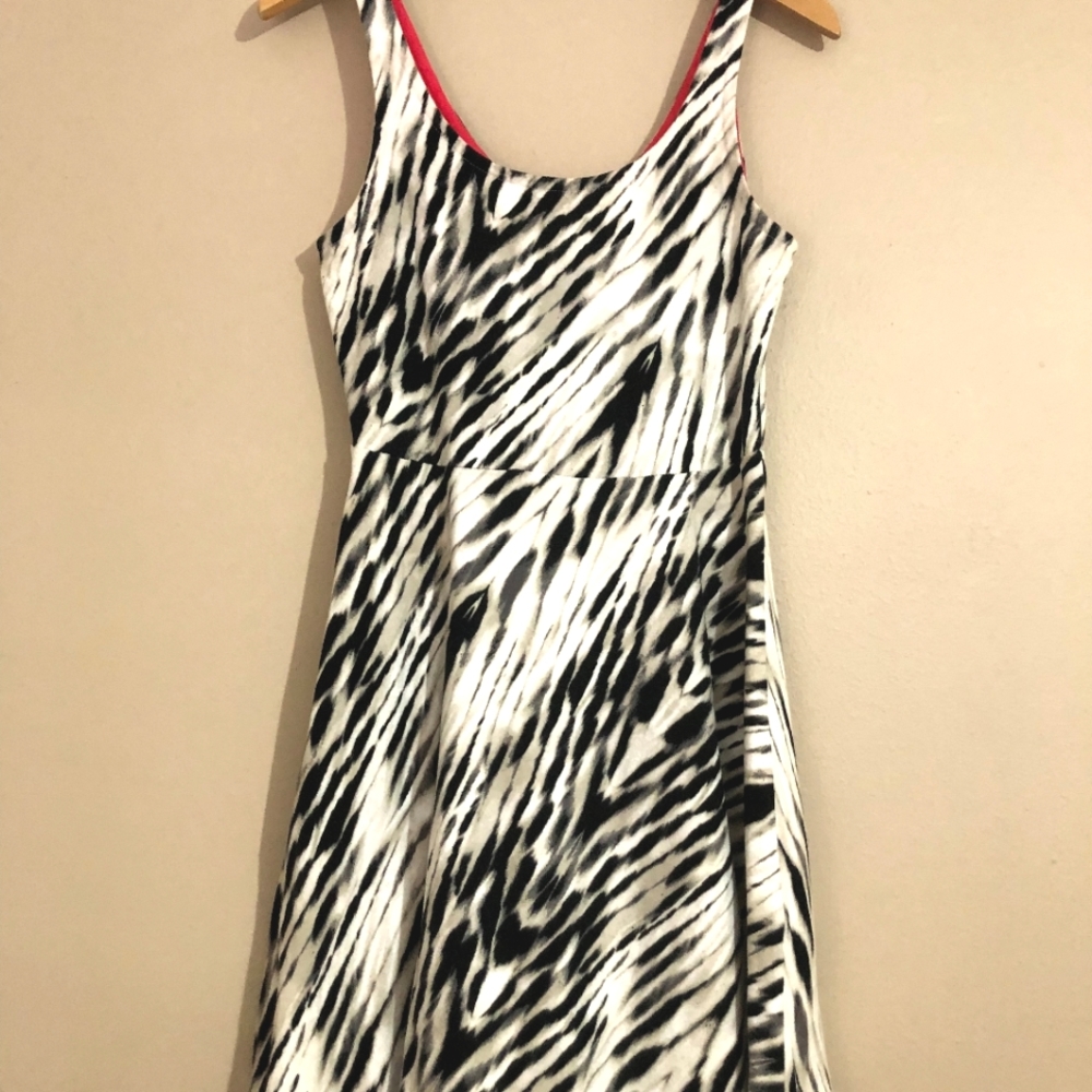 Express Skater Dress